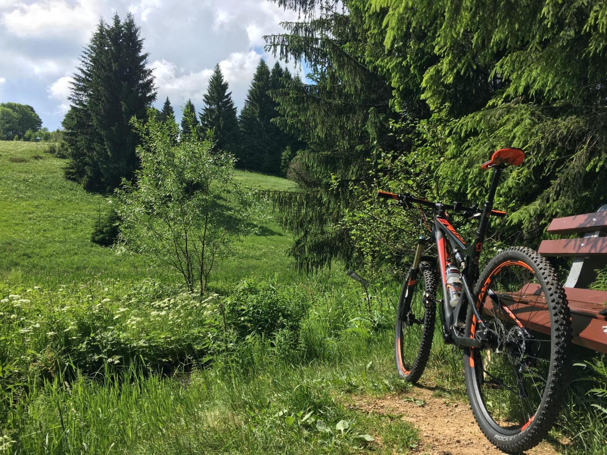 Zur Bergwiese 5 Sterne Appartementhaus Furstenau  Ruang foto