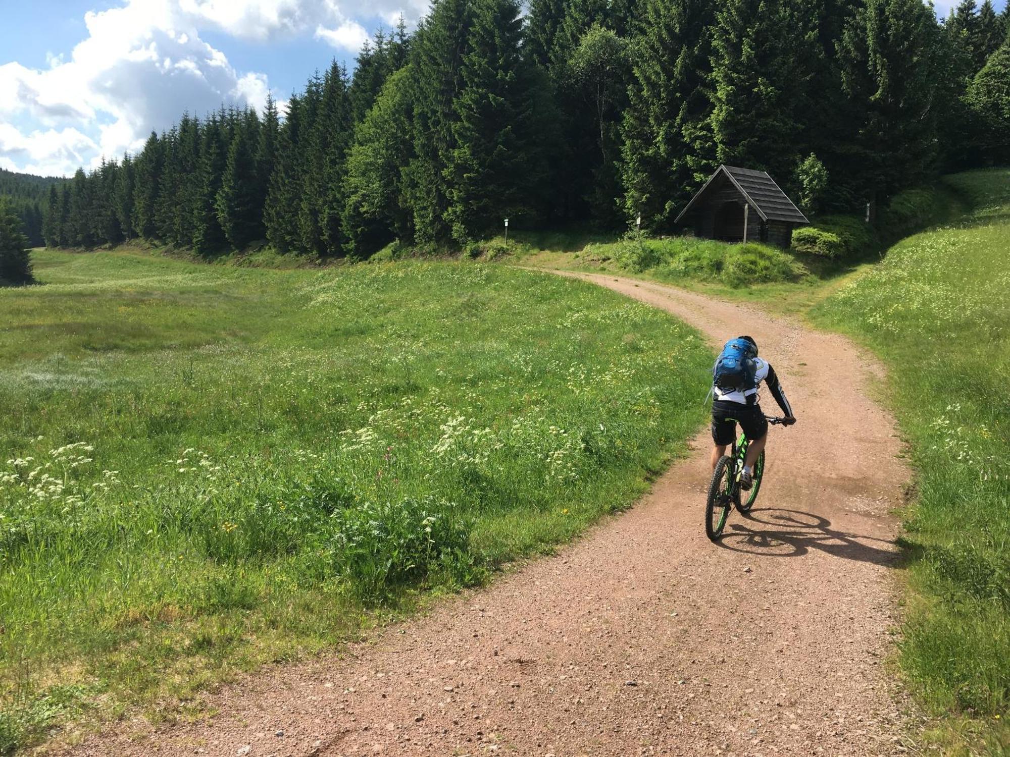 Zur Bergwiese 5 Sterne Appartementhaus Furstenau  Bagian luar foto